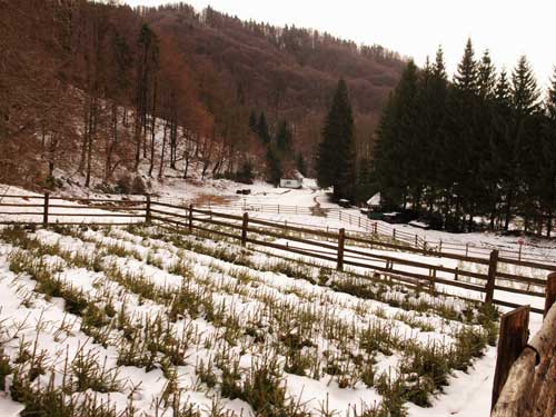 Foto Cresa si gradinita (c) Petru Goja